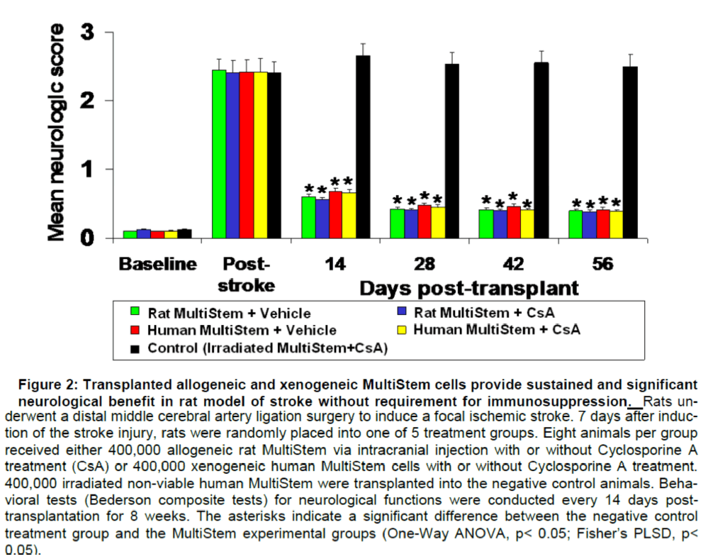 experimental-stroke-Transplanted-allogeneic