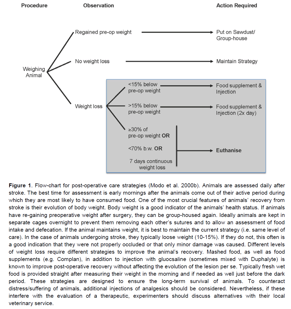 experimental-stroke-care-strategies