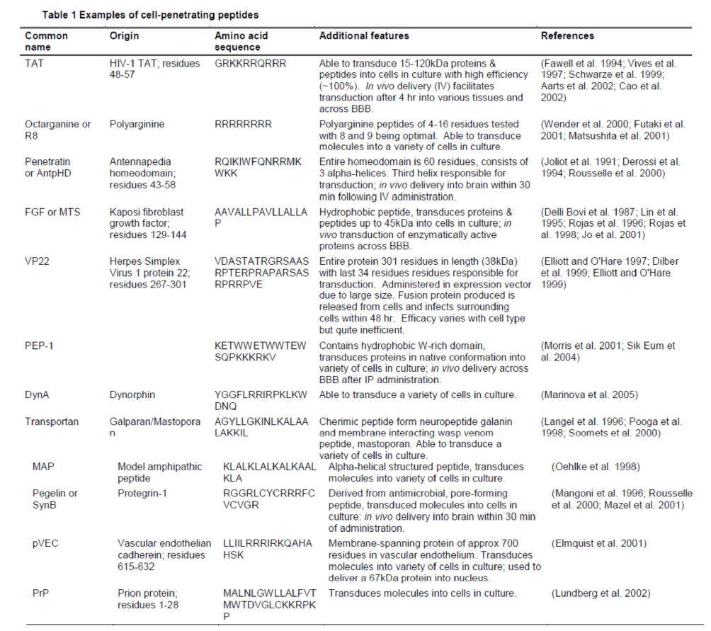 experimental-stroke-cell-penetrating-peptides