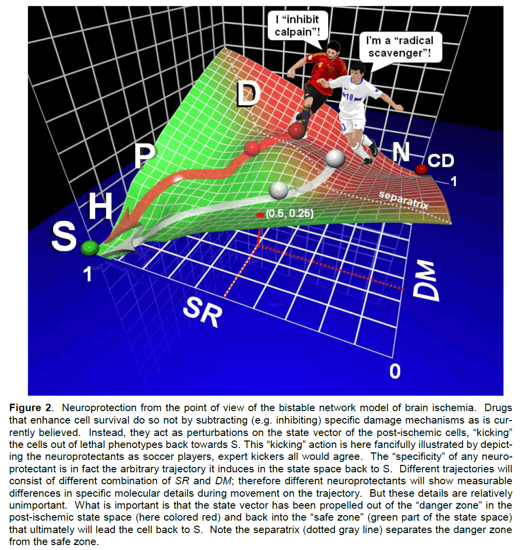experimental-stroke-enhance-cell-survival