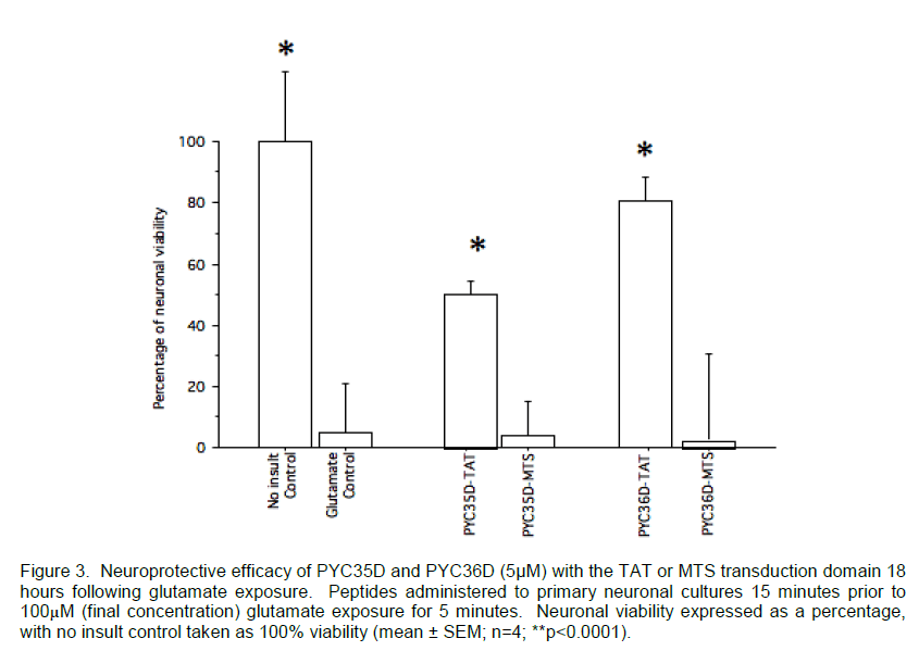 experimental-stroke-glutamate-exposure