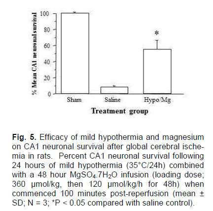 experimental-stroke-hypothermia-magnesium