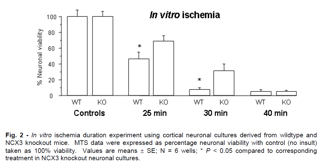 experimental-stroke-ischemia-duration