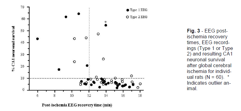 experimental-stroke-ischemia-recovery