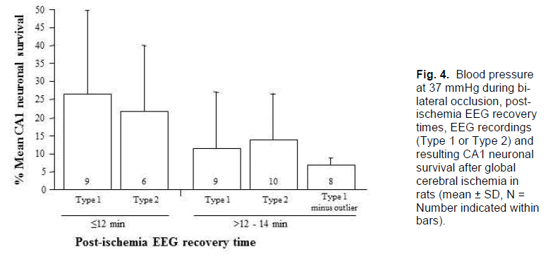 experimental-stroke-lateral-occlusion