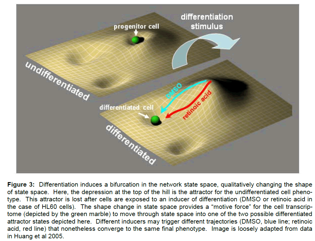 experimental-stroke-network-state-space