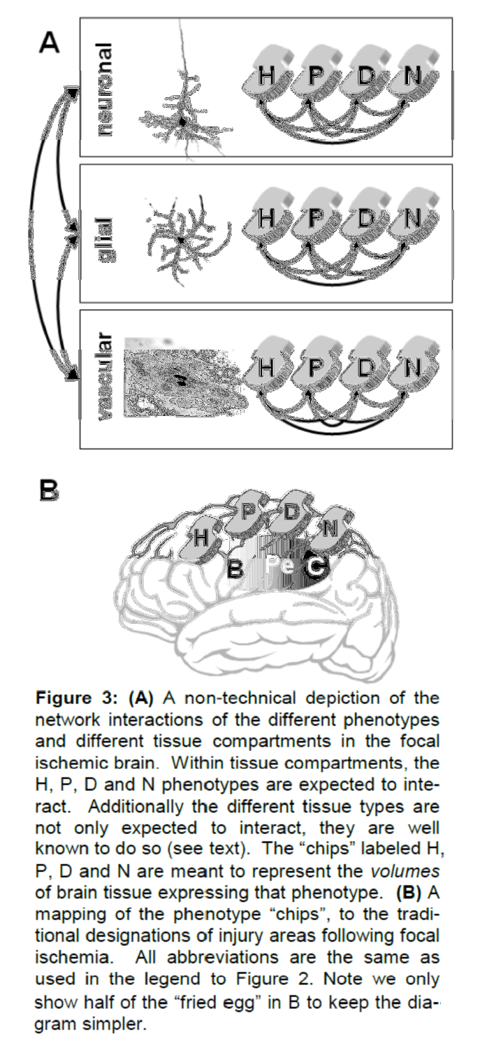 experimental-stroke-non-technical-depiction