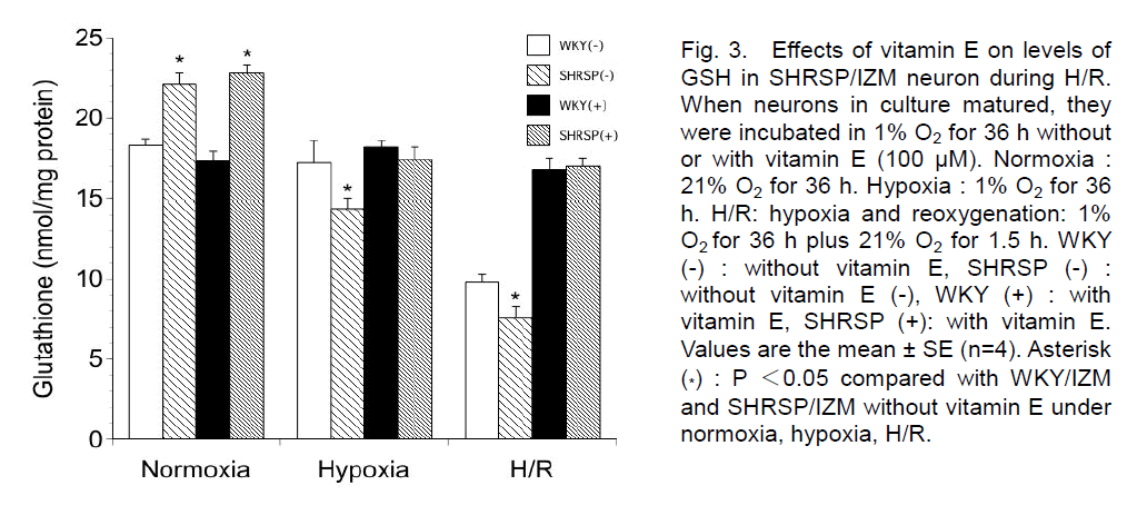 experimental-stroke-normoxia-hypoxia