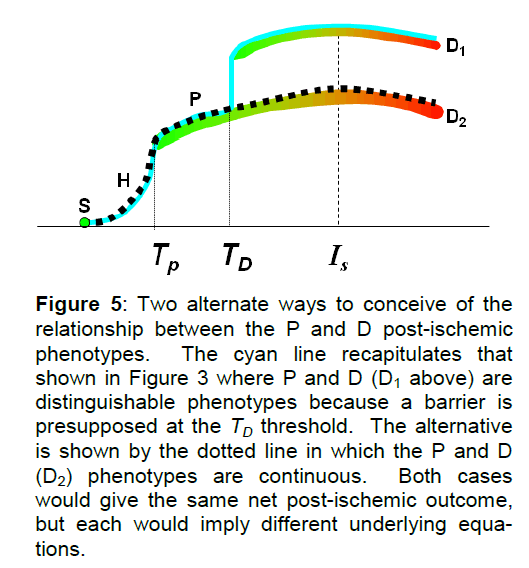 experimental-stroke-phenotypes-because