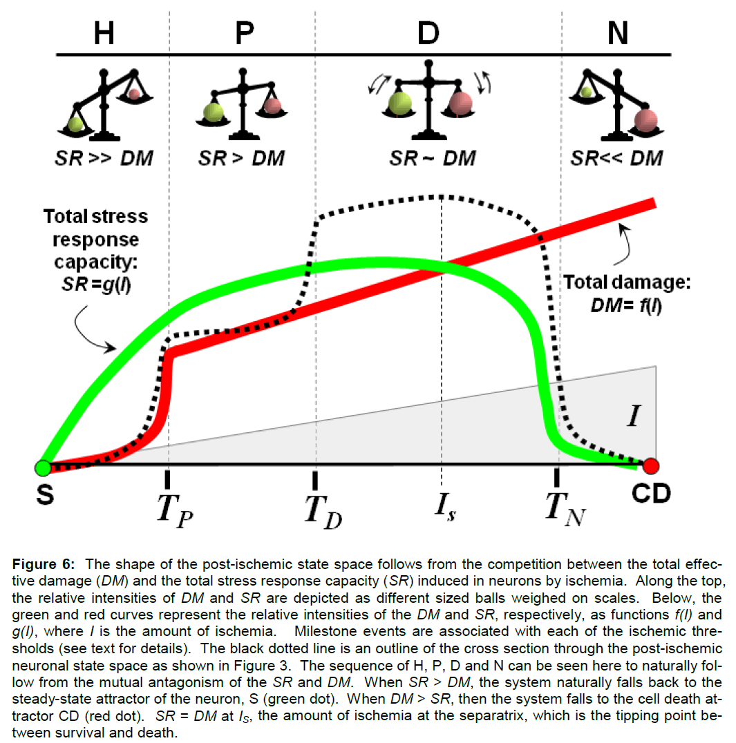 experimental-stroke-relative-intensities