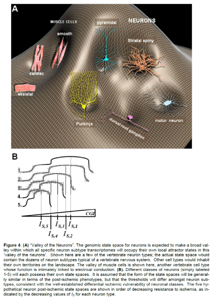 experimental-stroke-subtype-transcriptomes