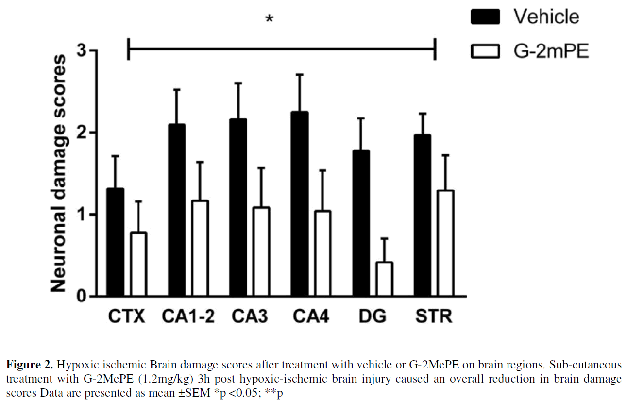 experimental-stroke-translational-medicine-Brain-damage