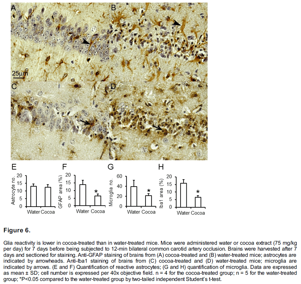 experimental-stroke-translational-medicine-Glia-reactivity