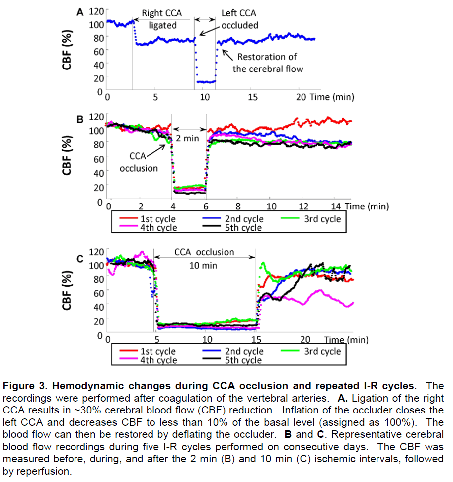 experimental-stroke-translational-medicine-Hemodynamic