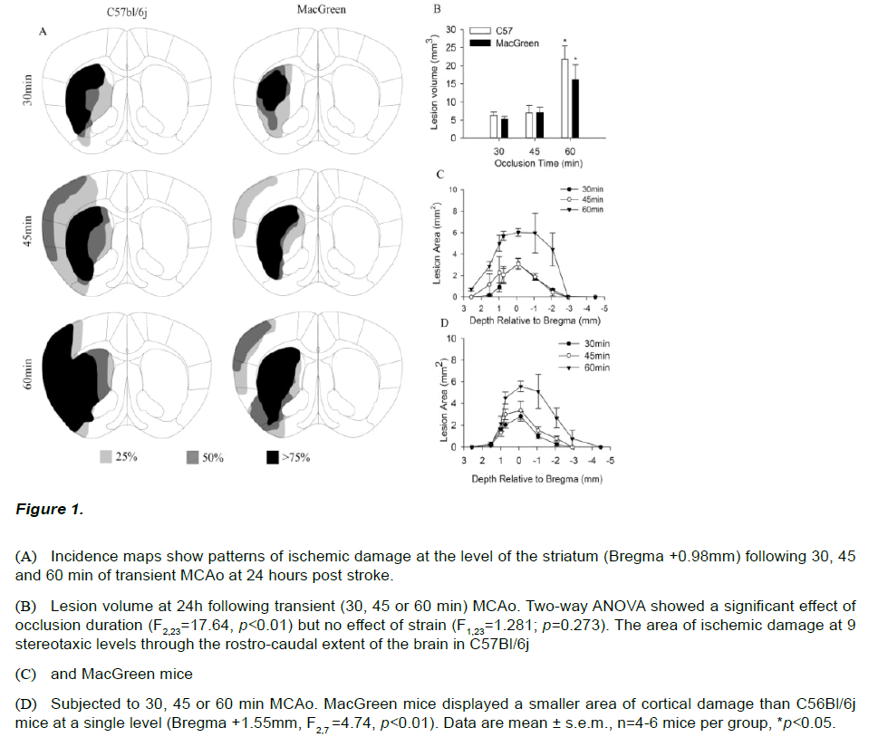 experimental-stroke-translational-medicine-Incidence-maps