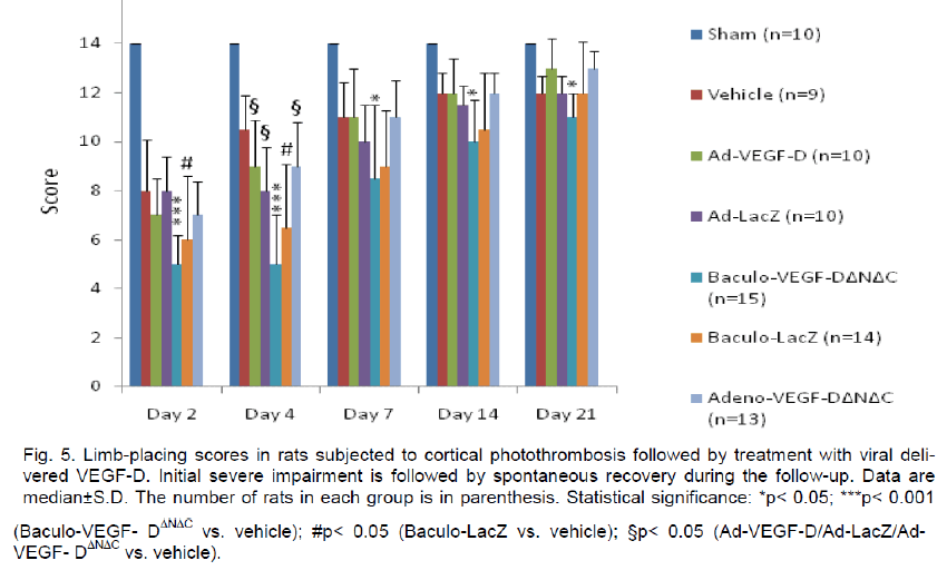 experimental-stroke-translational-medicine-Limb-placing