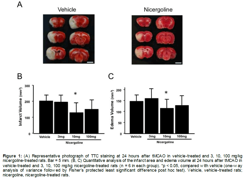 experimental-stroke-translational-medicine-Representative-photograph