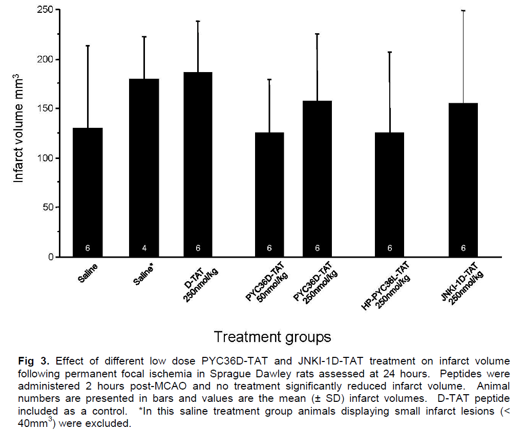 experimental-stroke-translational-medicine-Sprague-Dawley