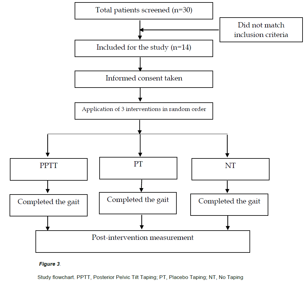 experimental-stroke-translational-medicine-Study-flowchart