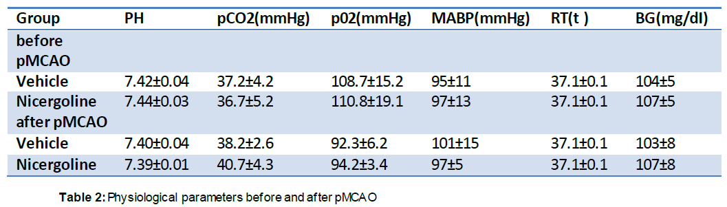 experimental-stroke-translational-medicine-after-pMCAO