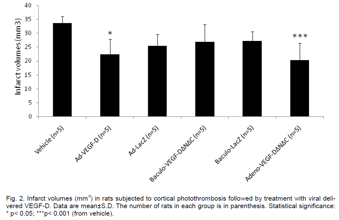 experimental-stroke-translational-medicine-cortical-photothrombosis