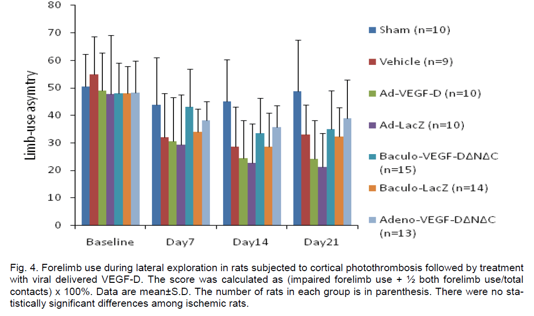 experimental-stroke-translational-medicine-lateral-exploration