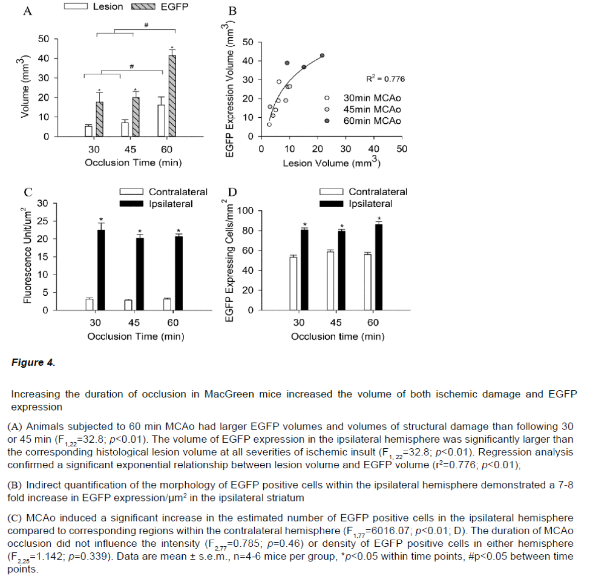 experimental-stroke-translational-medicine-mice-increased
