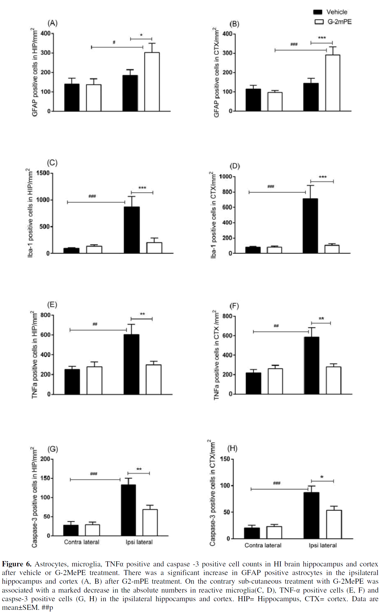 experimental-stroke-translational-medicine-positive-astrocytes