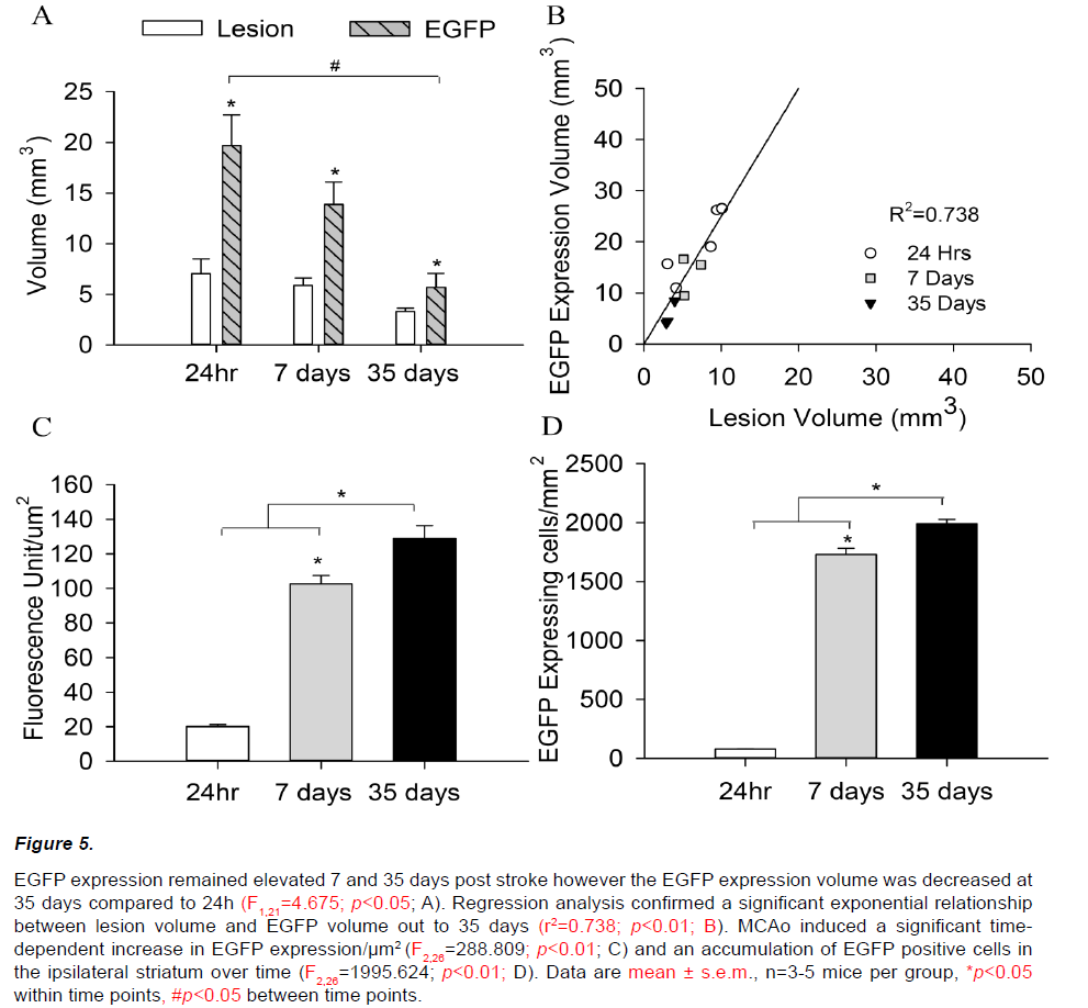 experimental-stroke-translational-medicine-remained-elevated