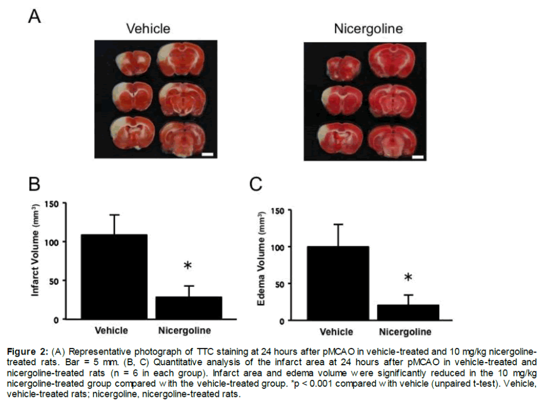 experimental-stroke-translational-medicine-vehicle-treated