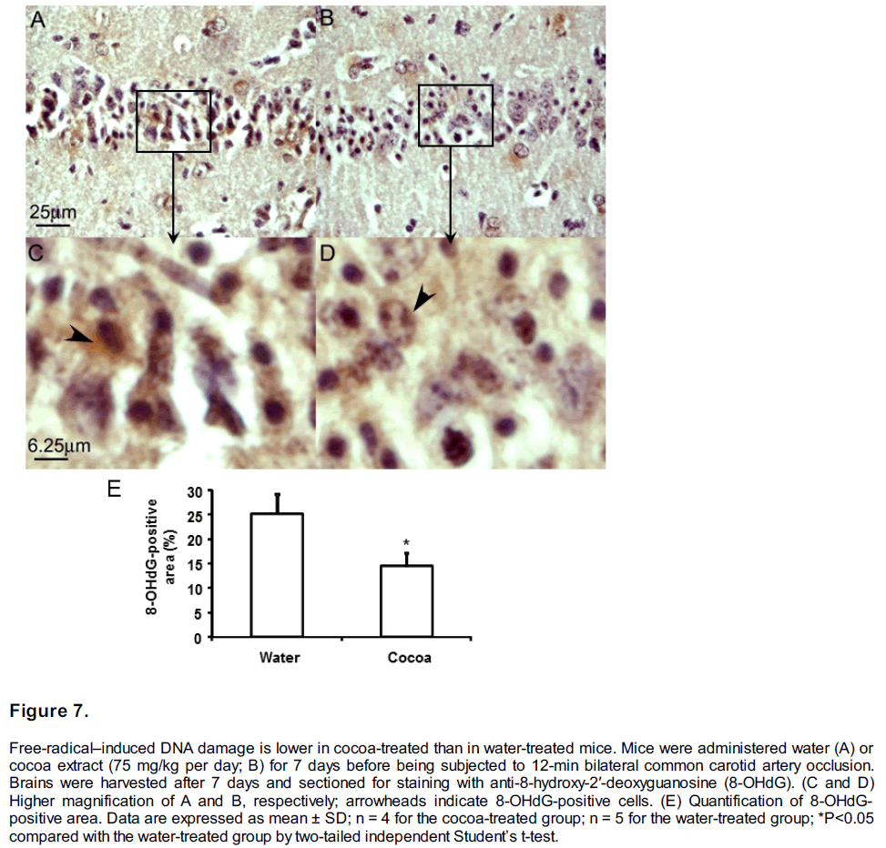 experimental-stroke-translational-medicine-water-treated