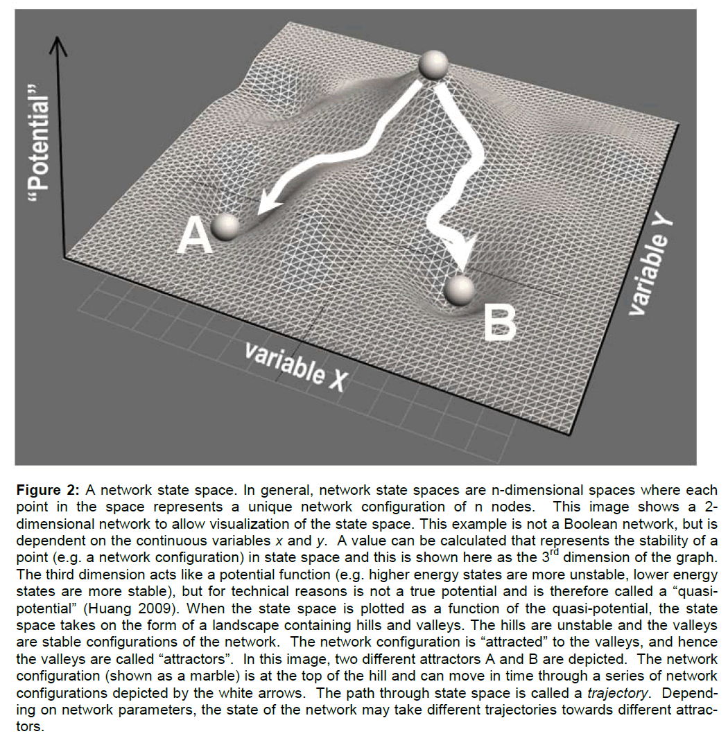experimental-stroke-unique-network