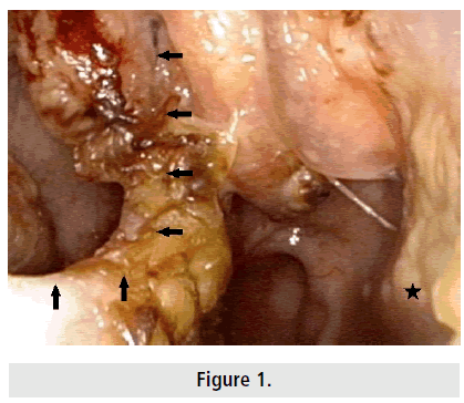 imaging-in-medicine