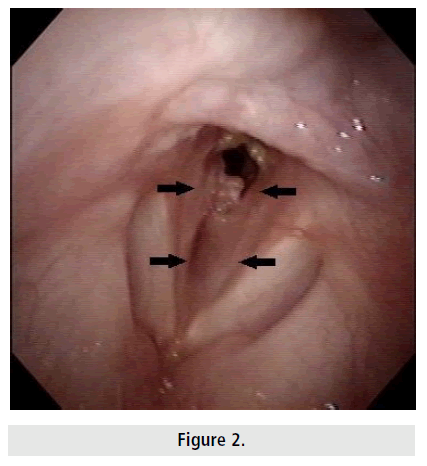 imaging-in-medicine