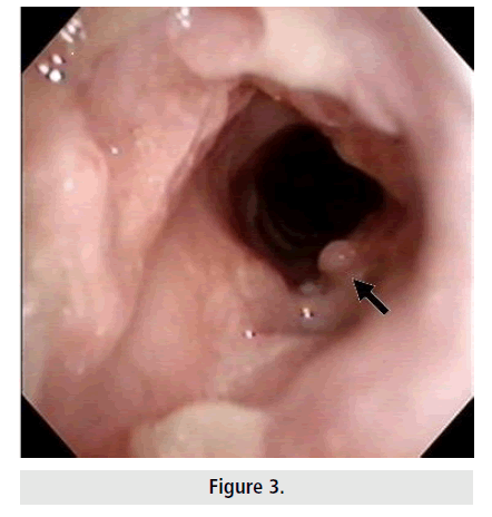 imaging-in-medicine
