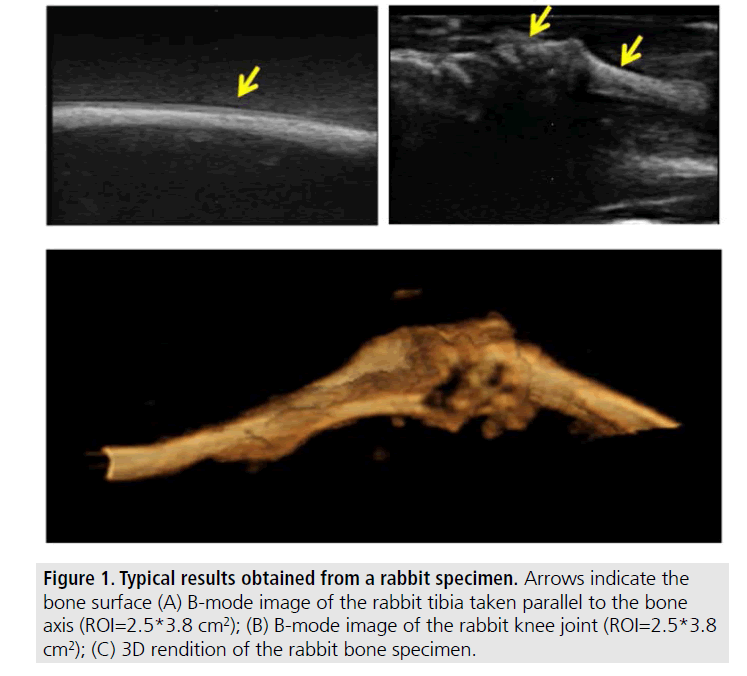 imaging-in-medicine-Arrows-indicate