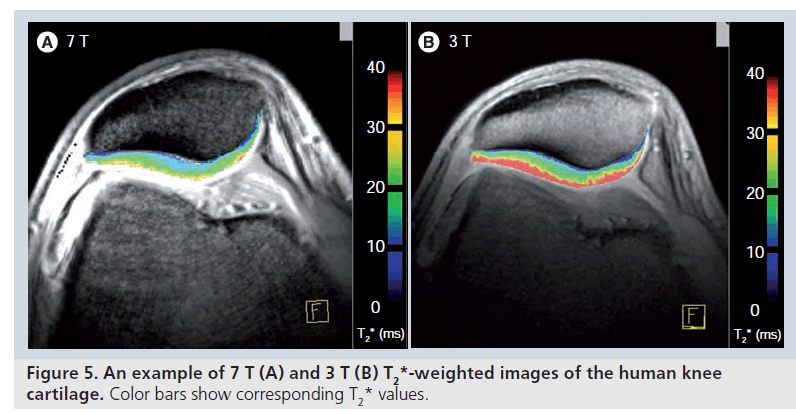 imaging-in-medicine-Color–bars