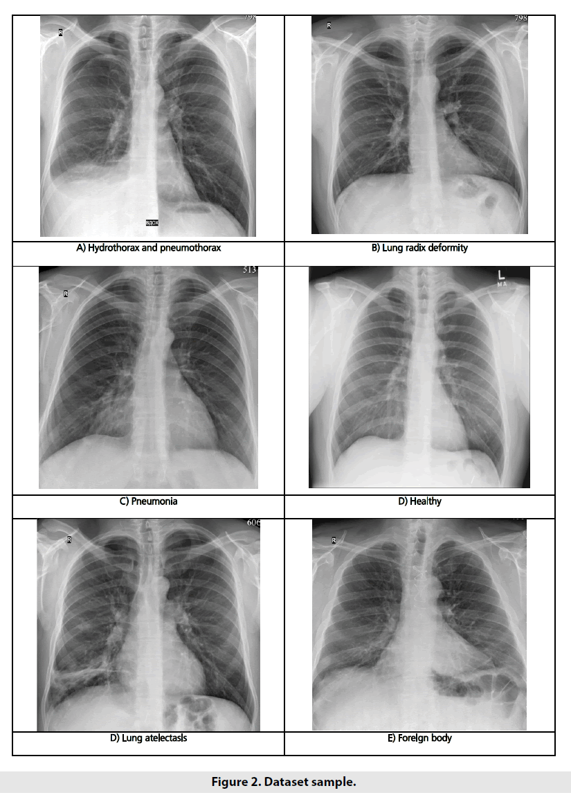 imaging-in-medicine-Dataset-sample