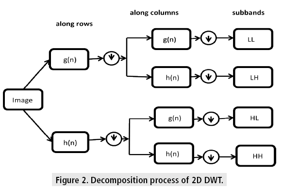 imaging-in-medicine-Decomposition-process