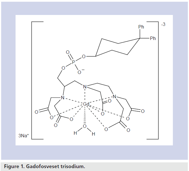 imaging-in-medicine-Gadofosveset-trisodium