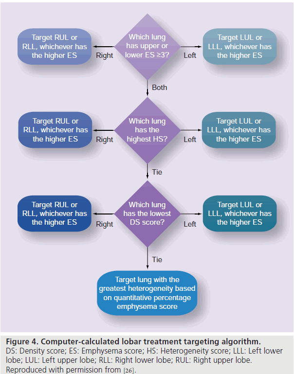 imaging-in-medicine-Heterogeneity-score