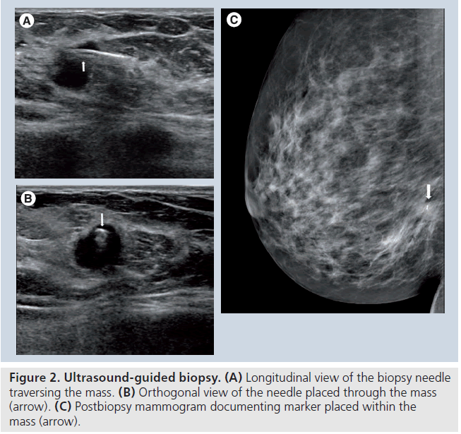 imaging-in-medicine-Longitudinal-view