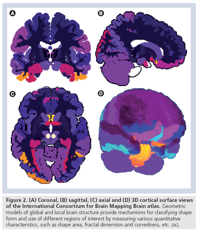 imaging-in-medicine-Mapping-Brain