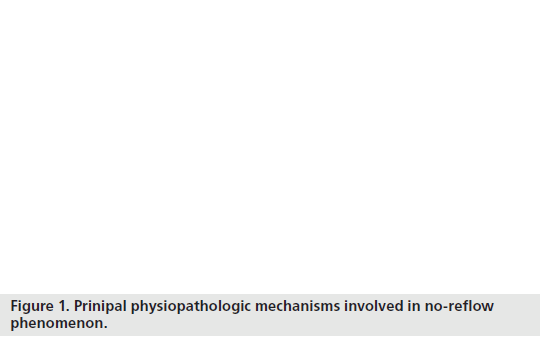 imaging-in-medicine-Prinipal-physiopathologic