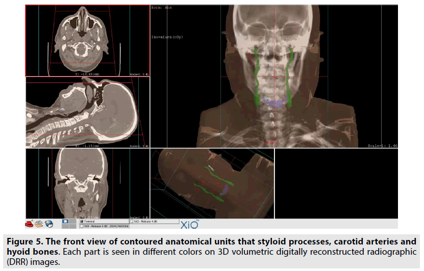 imaging-in-medicine-anatomical-units