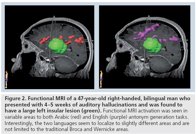 imaging-in-medicine-bilingual