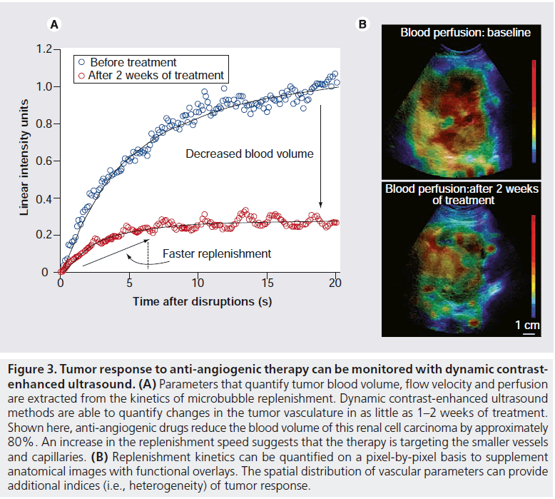 imaging-in-medicine-blood-volume