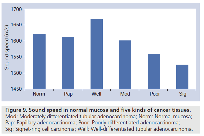 imaging-in-medicine-cancer-tissues