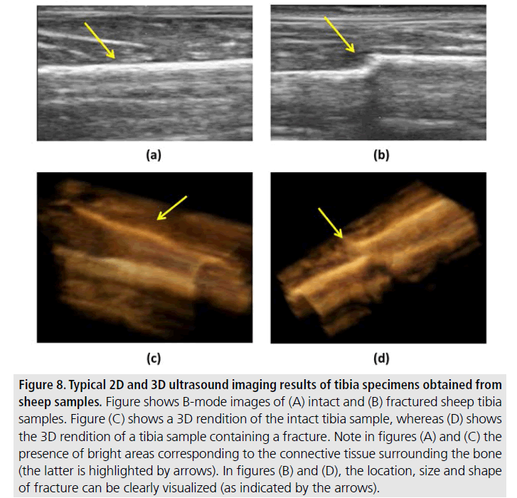 imaging-in-medicine-clearly-visualized