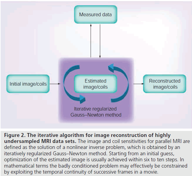 imaging-in-medicine-coil-sensitivities